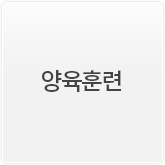 양육훈련